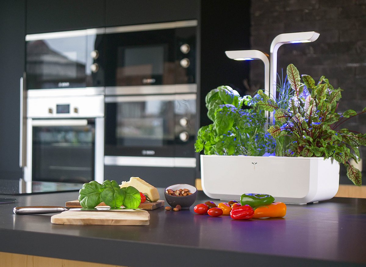 Véritable SMART White chytrá záhrada - so 4 rastlinnými kapsulami